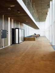 Alt_3